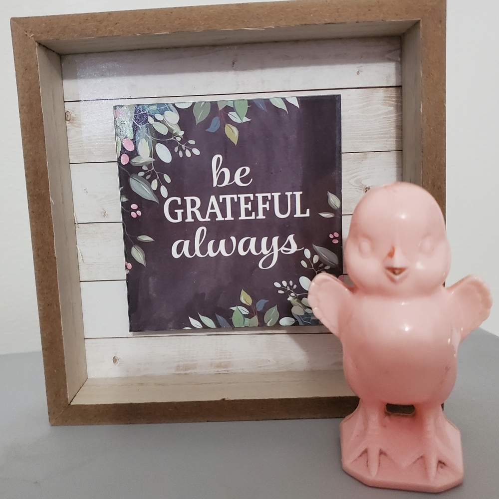 Knickerbocker stamped pink chick
